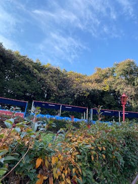 レオマリゾートに投稿された画像（2024/12/25）