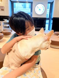 ぶさかわcafe 京都河原町店に投稿された画像（2024/12/25）