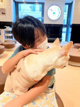 ぶさかわcafe 京都河原町店に投稿された画像（2024/12/25）