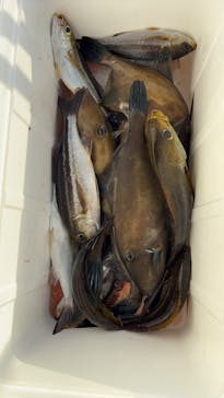 With Ocean（ウィズオーシャン）に投稿された画像（2024/12/24）