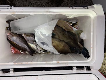 With Ocean（ウィズオーシャン）に投稿された画像（2024/12/24）