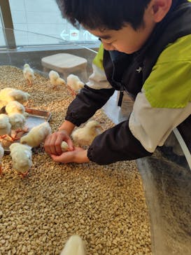 Moff animal cafe MARKIS 福岡ももち店に投稿された画像（2024/12/25）