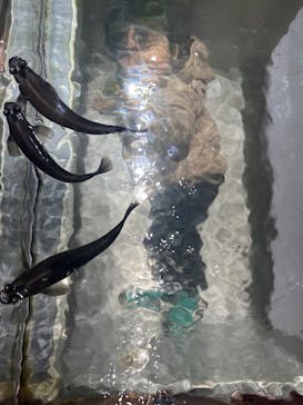 NIFREL（ニフレル）に投稿された画像（2024/12/25）