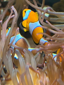 NIFREL（ニフレル）に投稿された画像（2024/12/25）