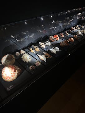 国立科学博物館に投稿された画像（2024/12/25）