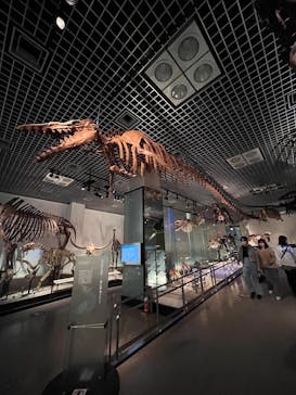 国立科学博物館に投稿された画像（2024/12/25）