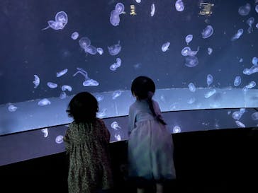 サンシャイン水族館に投稿された画像（2024/12/25）