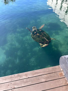 串本海中公園水族館に投稿された画像（2024/12/25）