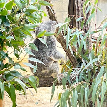 名古屋市東山動植物園に投稿された画像（2024/12/25）