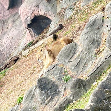 名古屋市東山動植物園に投稿された画像（2024/12/25）