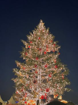 Christmas Market in 横浜赤レンガ倉庫 2025に投稿された画像（2024/12/25）