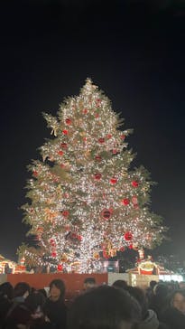 Christmas Market in 横浜赤レンガ倉庫 2025に投稿された画像（2024/12/25）