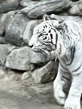 東武動物公園に投稿された画像（2024/12/25）