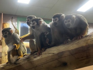 東武動物公園に投稿された画像（2024/12/25）