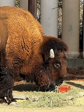 東武動物公園に投稿された画像（2024/12/25）
