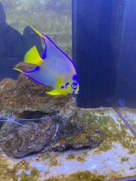 マクセル アクアパーク品川に投稿された画像（2024/12/25）