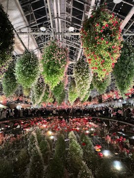 なばなの里に投稿された画像（2024/12/25）