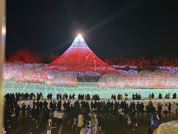 なばなの里に投稿された画像（2024/12/25）