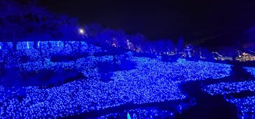 さがみ湖MORI MORIに投稿された画像（2024/12/25）