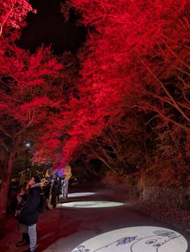 ムーミンバレーパークに投稿された画像（2024/12/25）