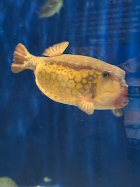 マリンワールド海の中道に投稿された画像（2024/12/25）