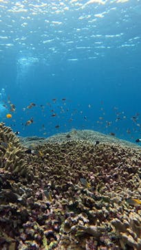  マリンショップHAPPYに投稿された画像（2024/12/25）