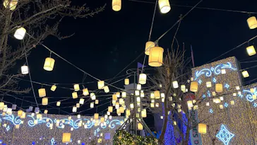 ひらかたパークに投稿された画像（2024/12/25）