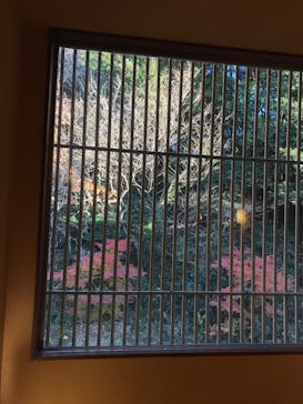 成田の命泉　大和の湯に投稿された画像（2024/12/25）