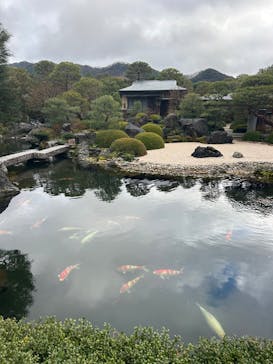 足立美術館に投稿された画像（2024/12/25）