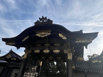 元離宮二条城に投稿された画像（2024/12/25）