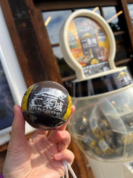 元離宮二条城に投稿された画像（2024/12/25）