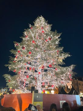 Christmas Market in 横浜赤レンガ倉庫 2025に投稿された画像（2024/12/25）