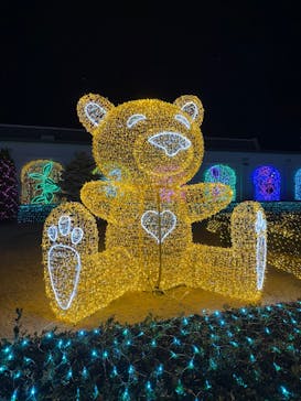 神戸イルミナージュに投稿された画像（2024/12/25）