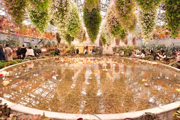 なばなの里に投稿された画像（2024/12/25）