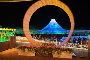 なばなの里に投稿された画像（2024/12/25）