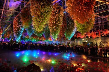 なばなの里に投稿された画像（2024/12/25）