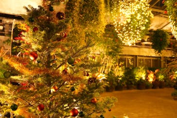 なばなの里に投稿された画像（2024/12/25）