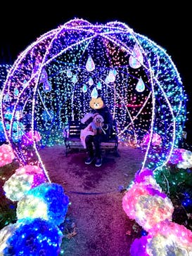 修善寺虹の郷に投稿された画像（2024/12/25）