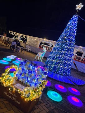 修善寺虹の郷に投稿された画像（2024/12/25）