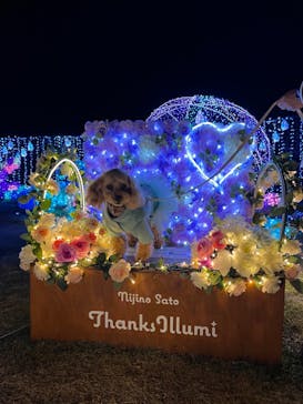 修善寺虹の郷に投稿された画像（2024/12/25）