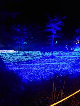 KYOTO ILLUMINATION SYNESTHESIA HILLS るり渓温泉に投稿された画像（2024/12/25）