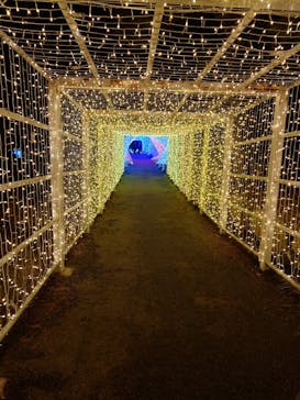 KYOTO ILLUMINATION SYNESTHESIA HILLS るり渓温泉に投稿された画像（2024/12/25）