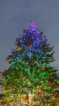 Christmas Market in 横浜赤レンガ倉庫 2025に投稿された画像（2024/12/25）