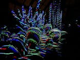 京都府立植物園　LIGHT CYCLES KYOTOに投稿された画像（2024/12/26）