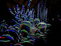 京都府立植物園　LIGHT CYCLES KYOTOに投稿された画像（2024/12/25）