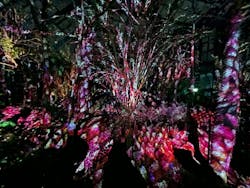 京都府立植物園　LIGHT CYCLES KYOTOに投稿された画像（2024/12/25）