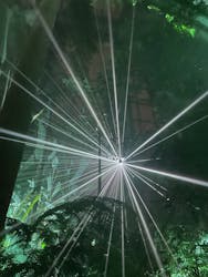 京都府立植物園　LIGHT CYCLES KYOTOに投稿された画像（2024/12/25）