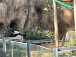 恩賜上野動物園に投稿された画像（2024/12/26）