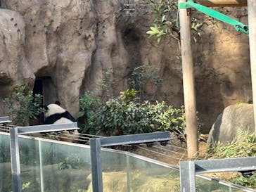 恩賜上野動物園に投稿された画像（2024/12/25）