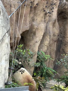 恩賜上野動物園に投稿された画像（2024/12/25）